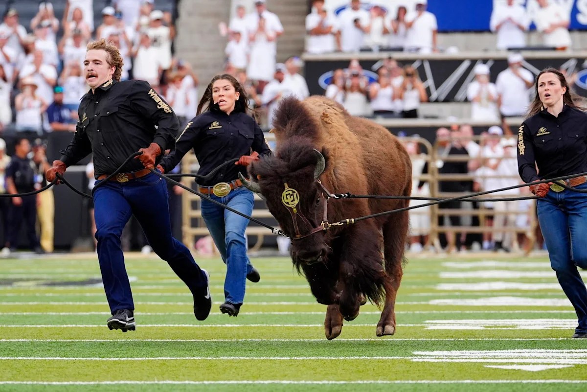Week 2 Review: Chaos Doesn’t Knock. It Lets Itself In.